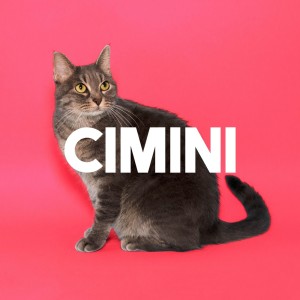 Listen to Tokyo song with lyrics from CIMINI