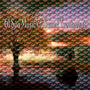 Dengarkan Star Shine lagu dari Spa Music Paradise dengan lirik