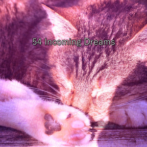 Album 54 Incoming Dreams from Serenity Spa Music Relaxation