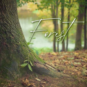 吴郡文的专辑Forest