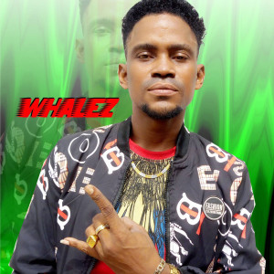 Listen to Make Me Glow song with lyrics from Whalez
