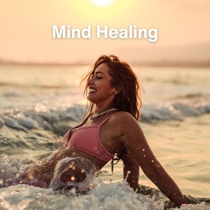 Album Mind Healing from Soft Music
