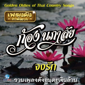 Listen to ผิดทางรัก (Phit Thang Rak) song with lyrics from ก้อง นภาลัย