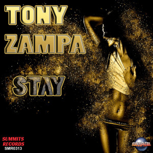 Dengarkan Stay (Radio Edit) lagu dari Tony Zampa dengan lirik