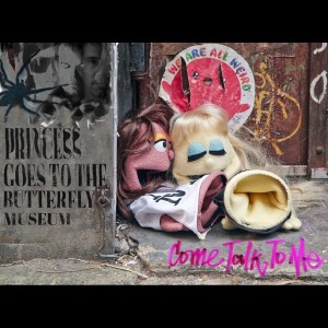 Listen to Come Talk To Me song with lyrics from Princess Goes To The Butterfly Museum