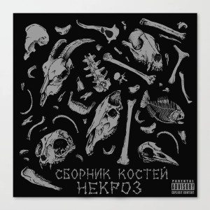Listen to Запичем излишки (Explicit) song with lyrics from Некроз