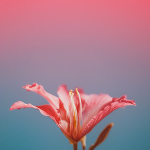 收聽Relaxing Music的Smile For Me歌詞歌曲