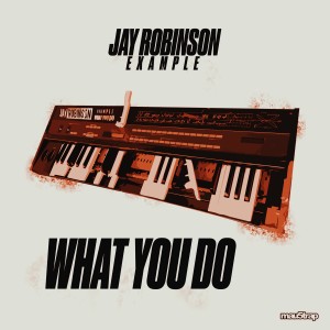 Jay Robinson的專輯What You Do