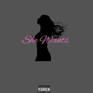 收聽B.Hayes的She Wants (Explicit)歌詞歌曲