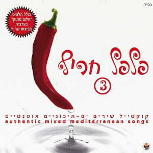 Listen to שני סיפורי אהבה song with lyrics from Pini Hadad