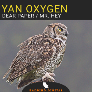 Dear Paper / Mr. Hey dari Yan Oxygen