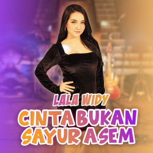 Dengarkan lagu Cinta Bukan Sayur Asem nyanyian Lala Widy dengan lirik