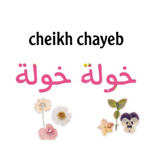 Listen to خولة خولة song with lyrics from Cheikh Chaïb
