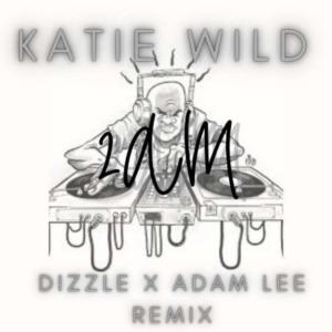 Album 2AM from DJ Dizzle