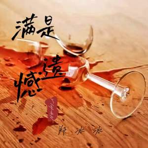 Album 满是遗憾 from 郑冰冰