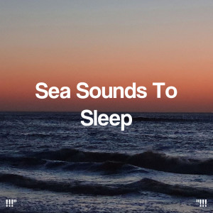 อัลบัม "!!! Sea Sounds To Sleep !!!" ศิลปิน Relajacion Del Mar