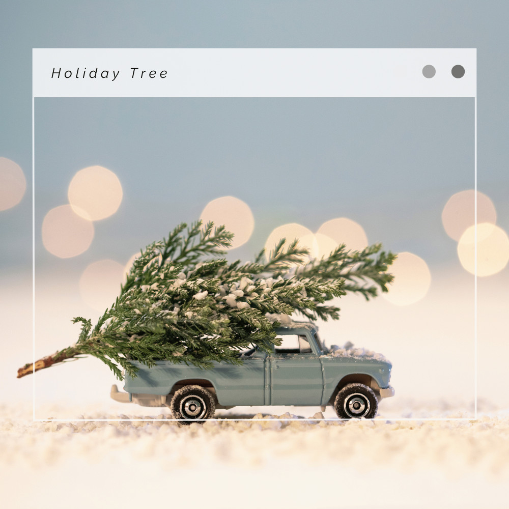 We Wish You A Merry Christmas: Days of Winter Holidays