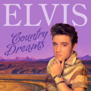 收聽Elvis Presley的Trying To Get To You歌詞歌曲