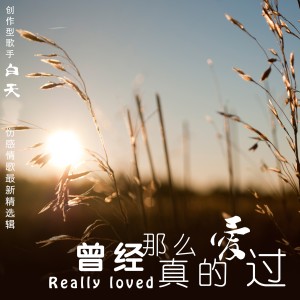 ดาวน์โหลดและฟังเพลง 一个人偷偷的哭 พร้อมเนื้อเพลงจาก 白天
