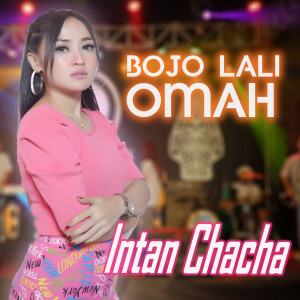 Intan Chaca的专辑Bojo Lali Omah