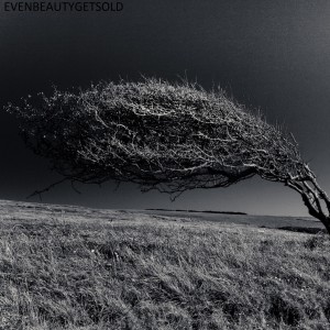 收聽Evenbeautygetsold的Greyhound歌詞歌曲