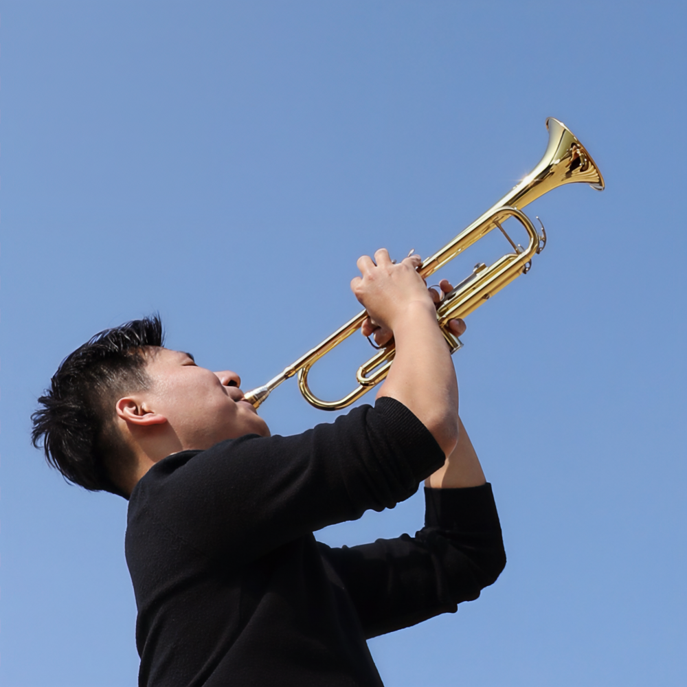 陈梅萍