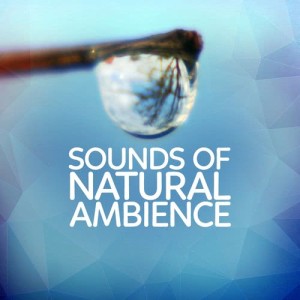 ดาวน์โหลดและฟังเพลง Bird Garden พร้อมเนื้อเพลงจาก Outside Broadcast Recordings