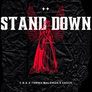 EROCK的專輯Stand Down (feat. Challenged By Greatness & Erock) [Explicit]