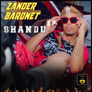 Listen to Teamo (Radio Edit) song with lyrics from Zander Baronet