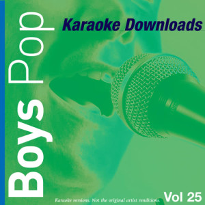 Ameritz Karaoke Band的專輯Karaoke Downloads - Boys Pop Vol.25