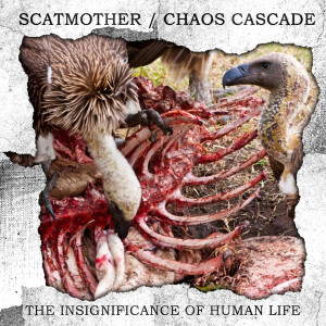 Album The Insignificance Of Human Life (Explicit) oleh Scatmother