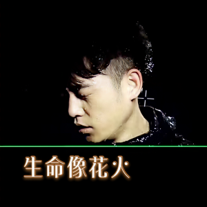 Album 生命像花火 from 王然