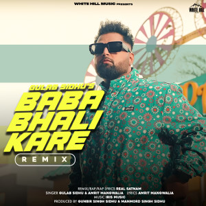 Album Baba Bhali Kare (Remix) from 