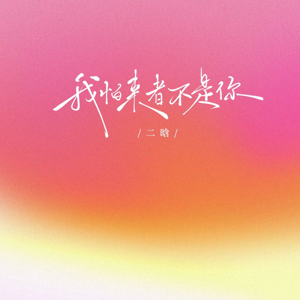 我怕来者不是你 (动感DJ版)