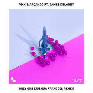 James Delaney的专辑Only One (feat. James Delaney) [Joshua Francois Remix]