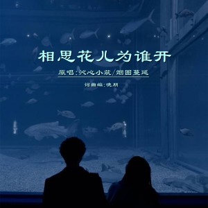Listen to 相思花儿为谁开DJ(对唱版) (完整版) song with lyrics from 沁心小筑