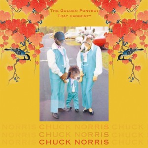 收聽The Golden Ponyboy的Chuck Norris (其他)歌詞歌曲
