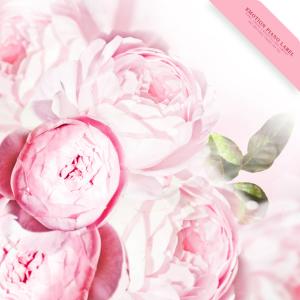 ดาวน์โหลดและฟังเพลง Love Is Thrilling พร้อมเนื้อเพลงจาก Sophia Choi