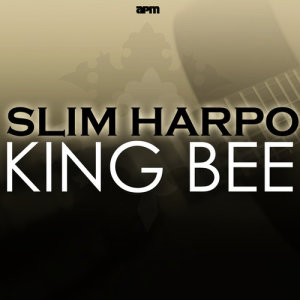 收聽Slim Harpo的Don't Start Crying Now歌詞歌曲