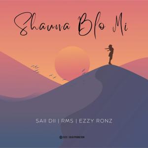 Listen to Shauna Blo Mi song with lyrics from RMS