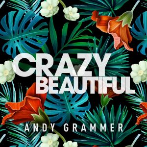 ดาวน์โหลดและฟังเพลง Crazy Beautiful (Live) พร้อมเนื้อเพลงจาก Andy Grammer