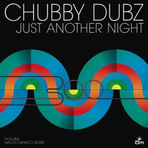 ดาวน์โหลดและฟังเพลง Just Another Night พร้อมเนื้อเพลงจาก Chubby Dubz