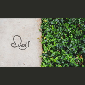 Listen to 자장가 (Feat. 채다흰) Lullaby (Feat. Daheen Chae) song with lyrics from Group Star
