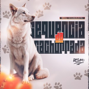 DJ Luan PJ的專輯SEQUÊNCIA DA CACHORRADA (Explicit)