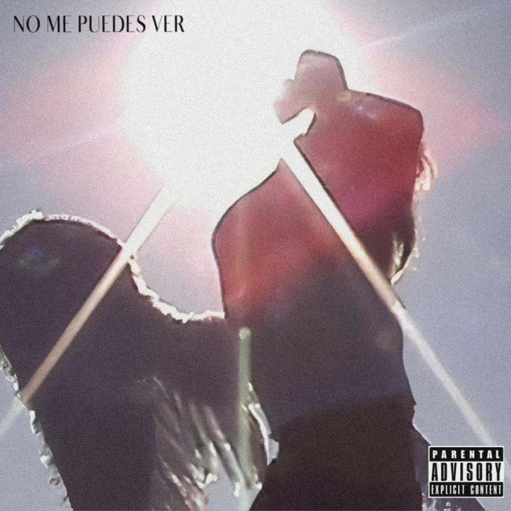 NoMePuedesVer (feat. PradaSB) (Explicit)