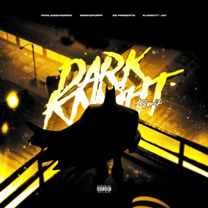 ddpresents的專輯DARK KNIGHT (Shadows Mix)