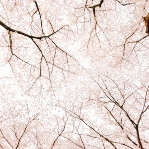 Listen to 샤랄라 song with lyrics from 이하은