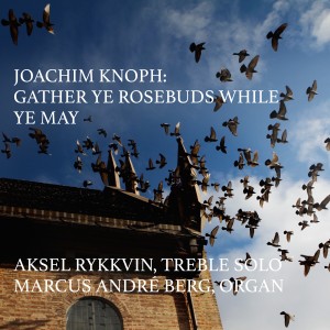 ดาวน์โหลดและฟังเพลง Gather Ye Rosebuds While Ye May พร้อมเนื้อเพลงจาก Aksel Rykkvin