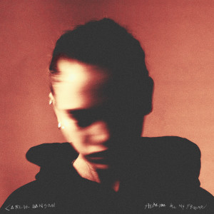 ดาวน์โหลดและฟังเพลง Stealing All My Friends พร้อมเนื้อเพลงจาก Carlie Hanson