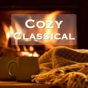 Listen to Swan Lake Ballet, Op. 20: XLII song with lyrics from The St Petra Russian Symphony Orchestra